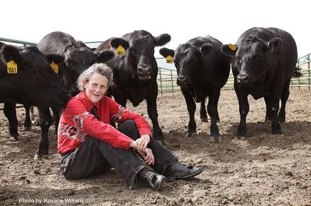 天寶•葛蘭汀 Temple Grandin